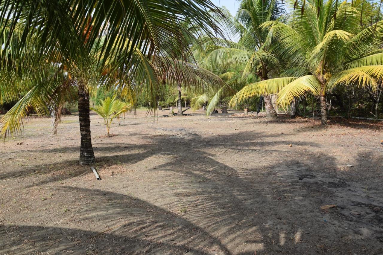 Hotel Quinta El Mamey à Río Verde Extérieur photo
